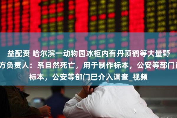 益配资 哈尔滨一动物园冰柜内有丹顶鹤等大量野生动物尸体,园方负责人:系自然死亡,用于制作标本,公安等部门已介入调查_视频