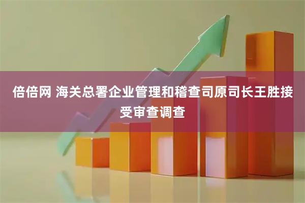 倍倍网 海关总署企业管理和稽查司原司长王胜接受审查调查