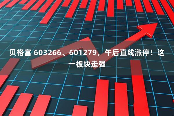 贝格富 603266、601279，午后直线涨停！这一板块走强