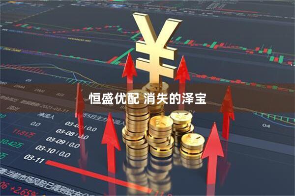 恒盛优配 消失的泽宝